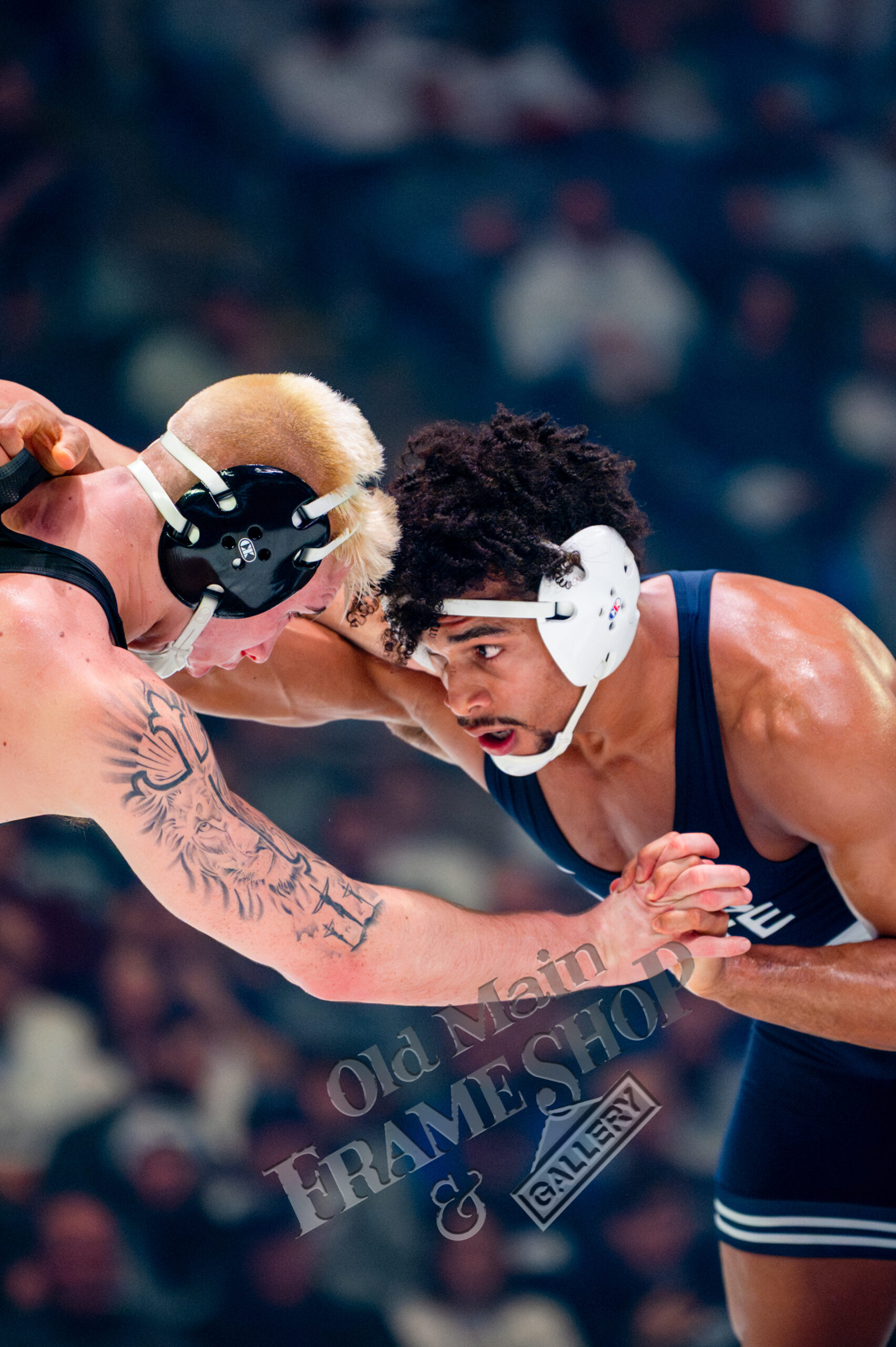 Carter Starroci Wrestling vs Iowa