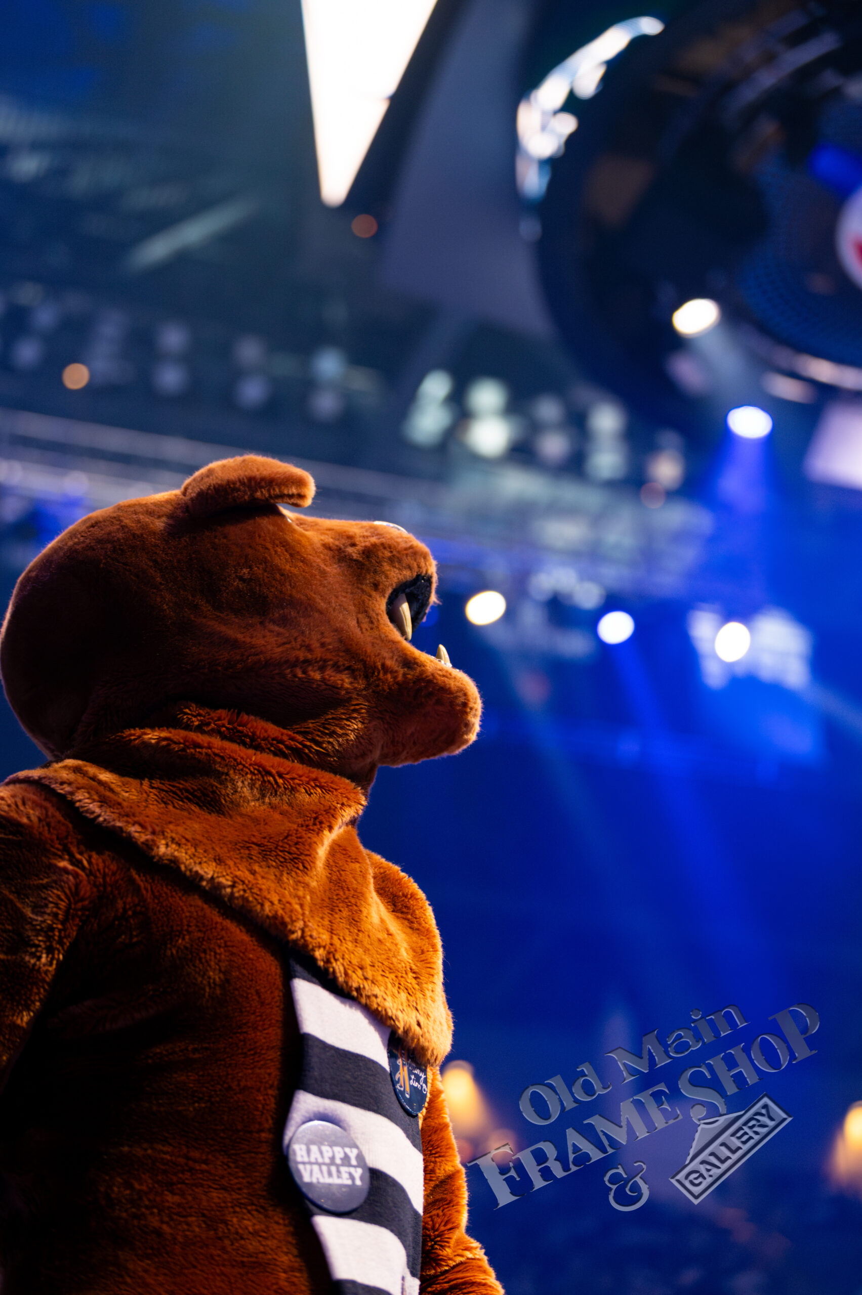 Top of the Penn State Nittany Lion looking up into the stands at the Bryce Jordan Center